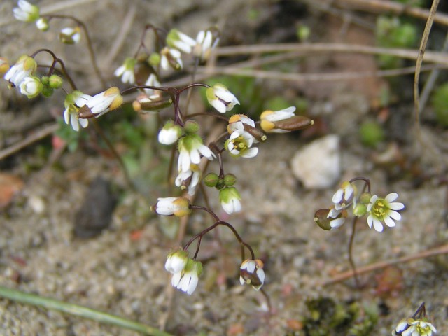 PICT0238.JPG