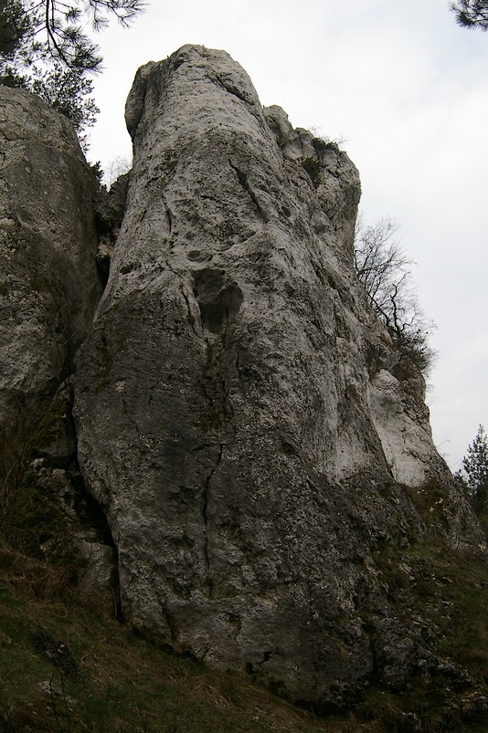 w3.jpg