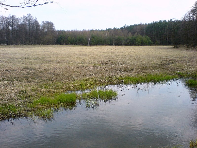 DSC00162.JPG