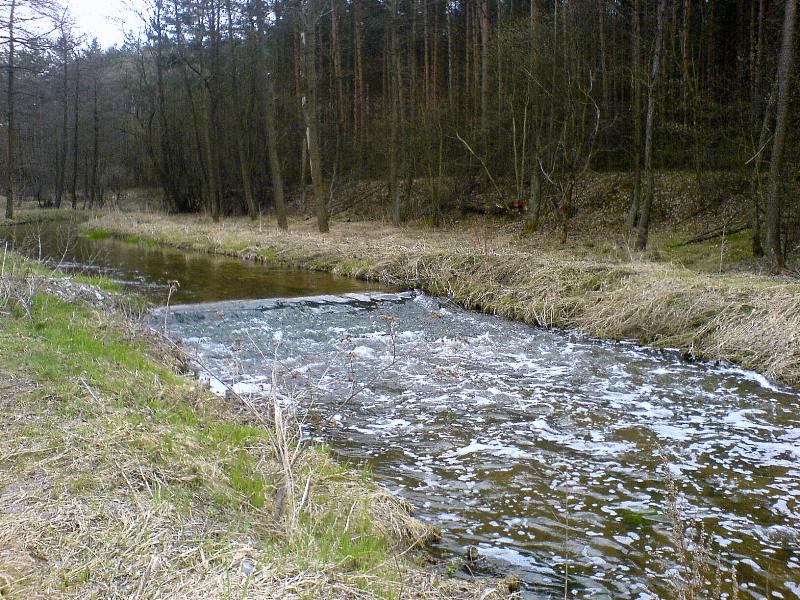 DSC00154.JPG