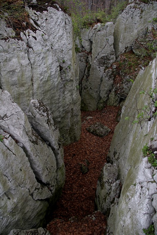 szczelina4.jpg