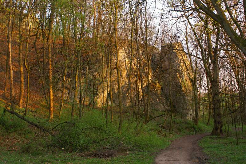 DSC00388.JPG