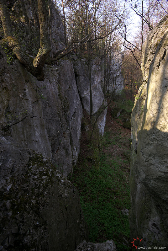 zag150408.jpg