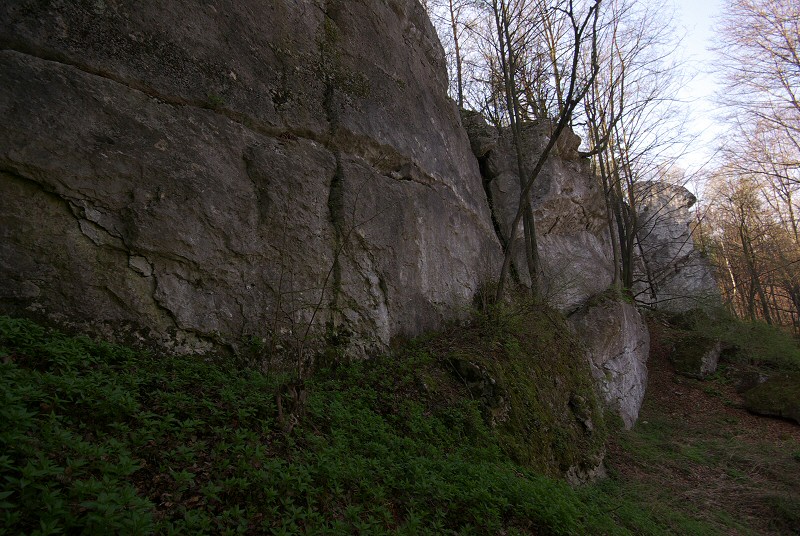 zag150408-2.jpg