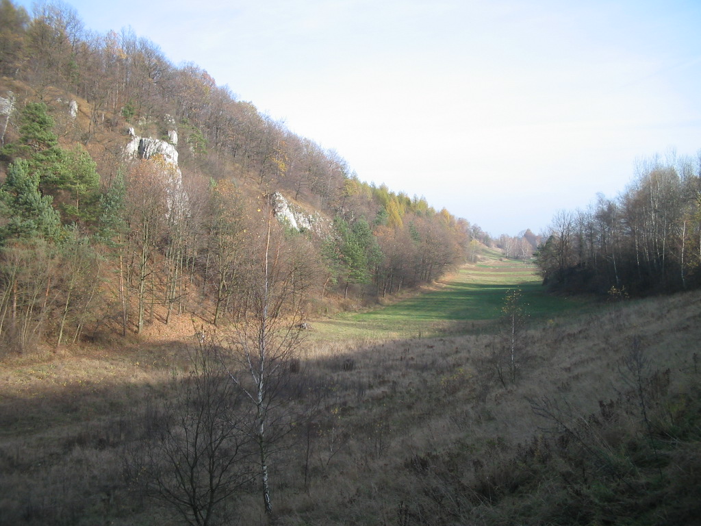 100_0001.JPG