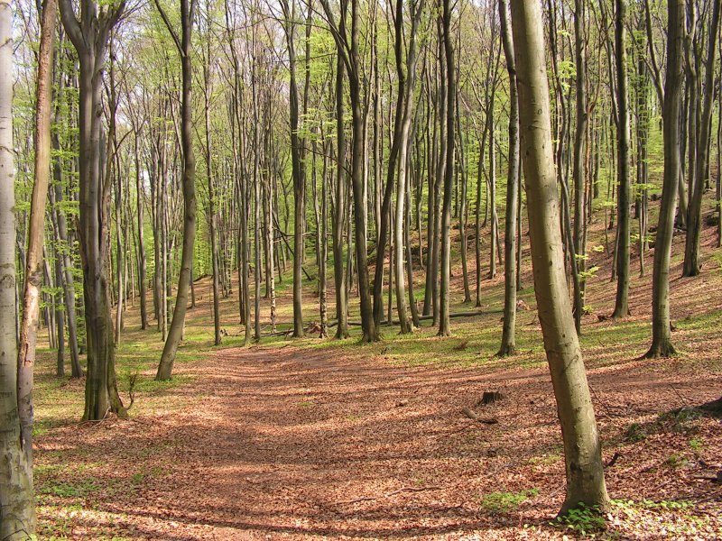 Sokole Góry.jpg