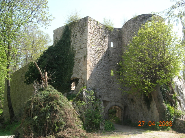 DSCN6404.JPG