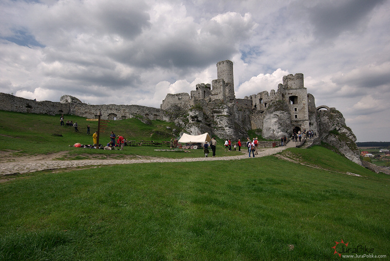 10508_2.jpg