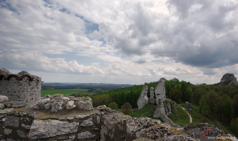 10508_3.jpg