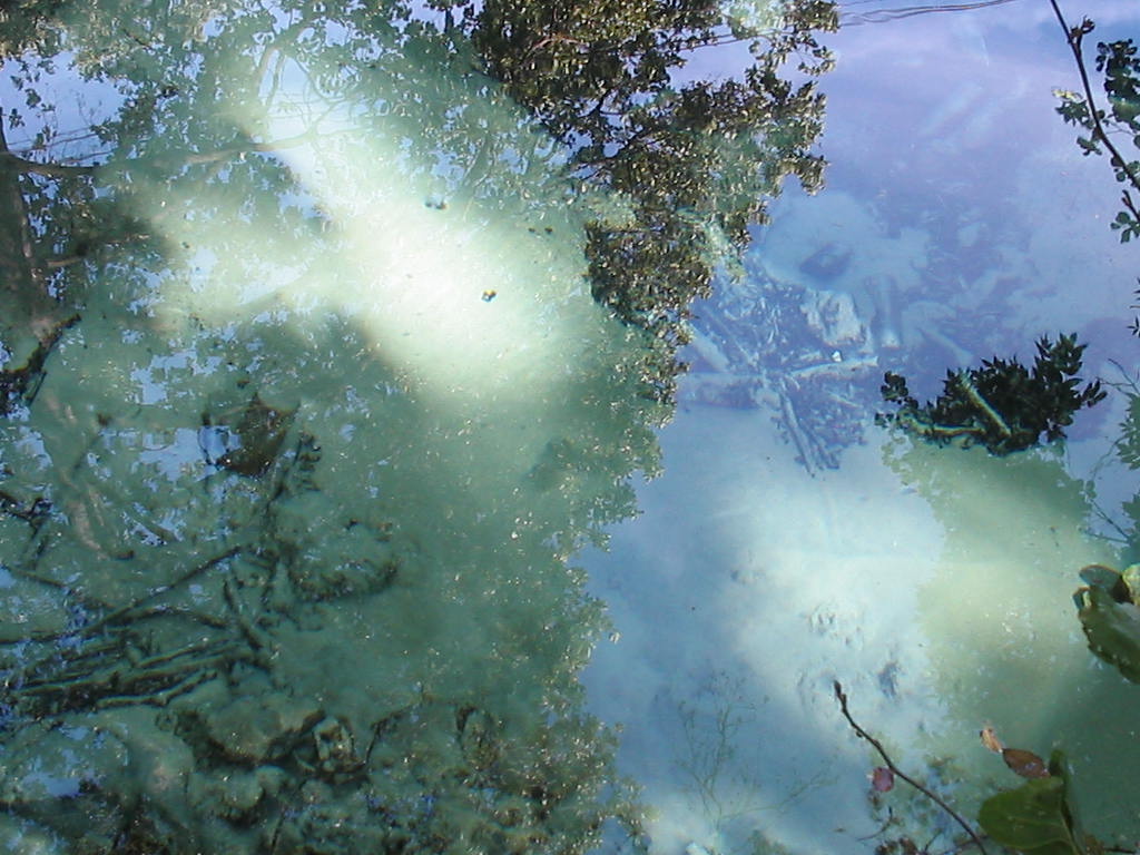 100_0056.JPG