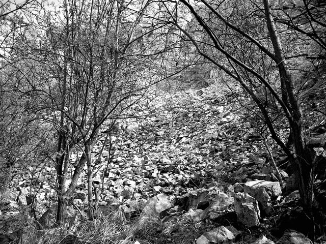 DSCN1420.jpg