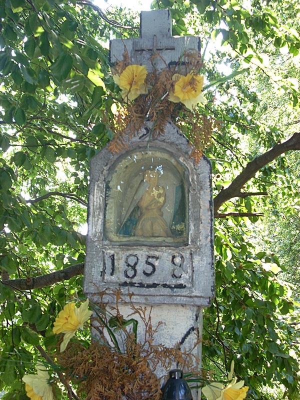 DSCN0247.jpg
