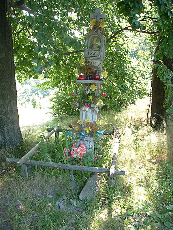 DSCN0246.jpg
