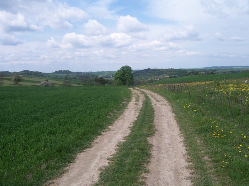 15.jpg