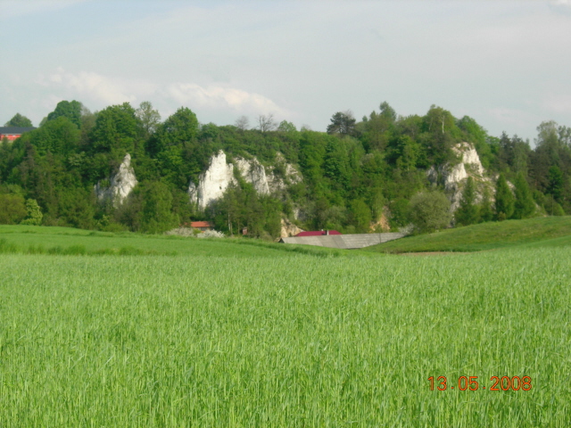 DSCN6686.JPG