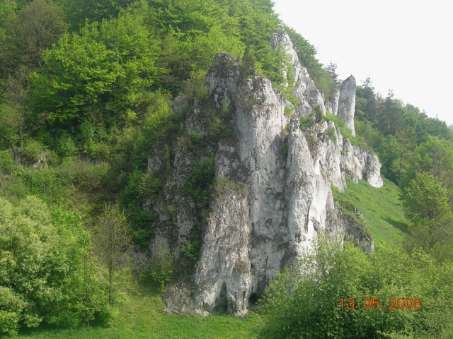 DSCN6630.JPG