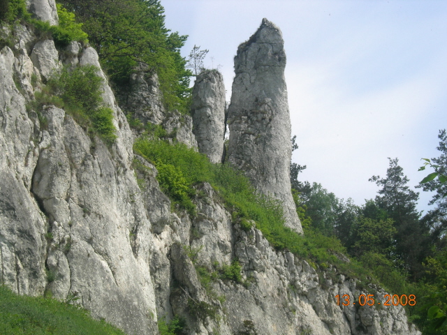 DSCN6633.JPG