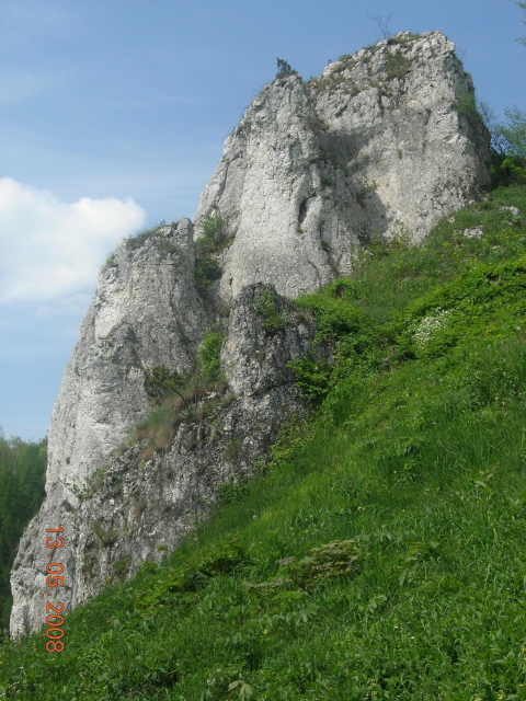 DSCN6637.JPG