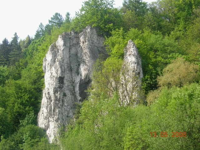 DSCN6650.JPG