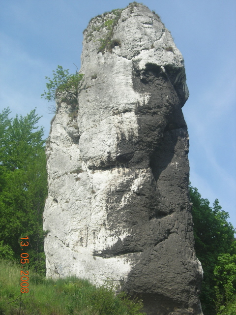 DSCN6665.JPG