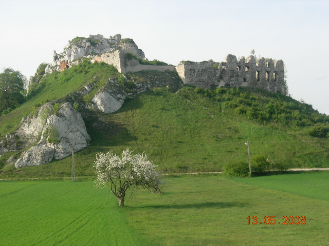 DSCN6706.JPG