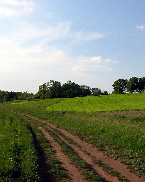 04.jpg