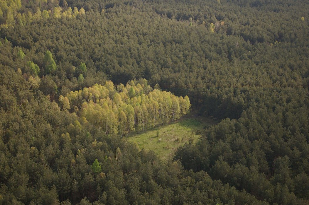 Obraz 263.jpg