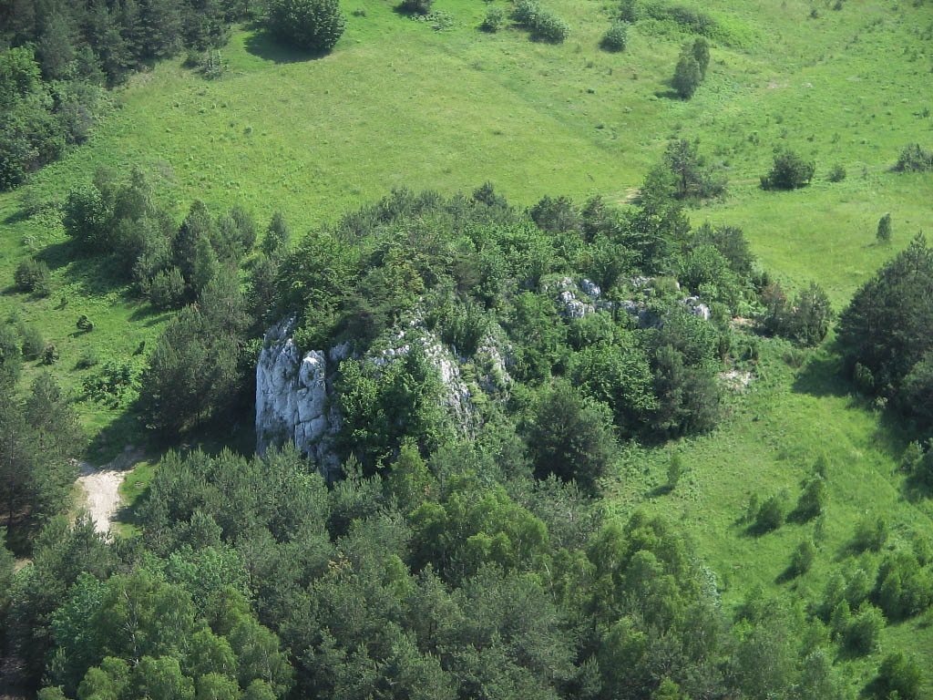 piaseczno3.JPG