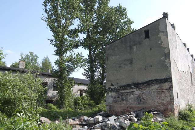 DSC_0007.jpg