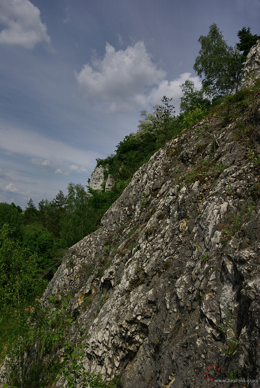 zag_90608-.jpg