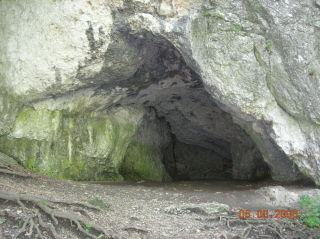 DSCN2416.JPG
