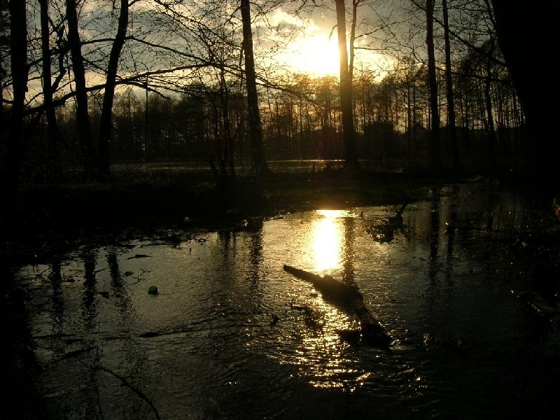 DSCN1339.JPG