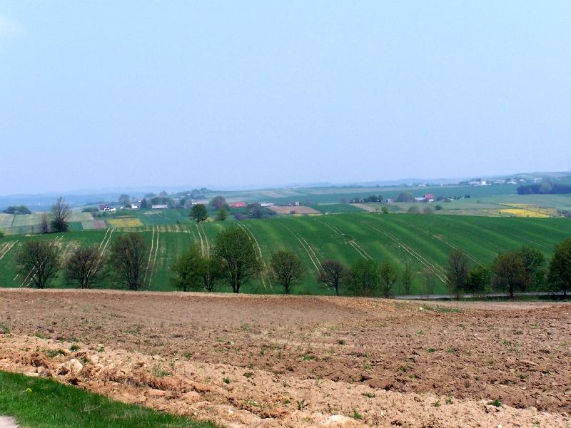 100_1324.jpg