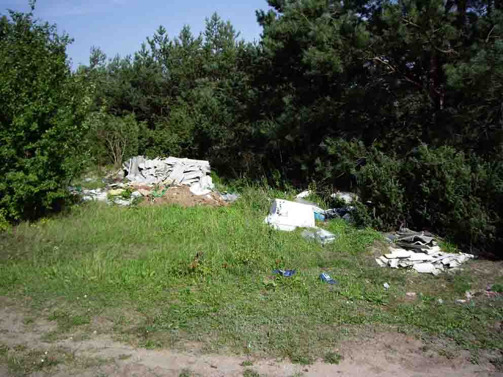 wysypisko koło piaskowni.jpg