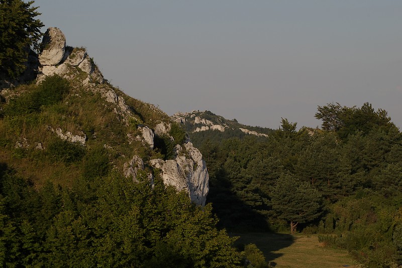 IMGP7194.jpg