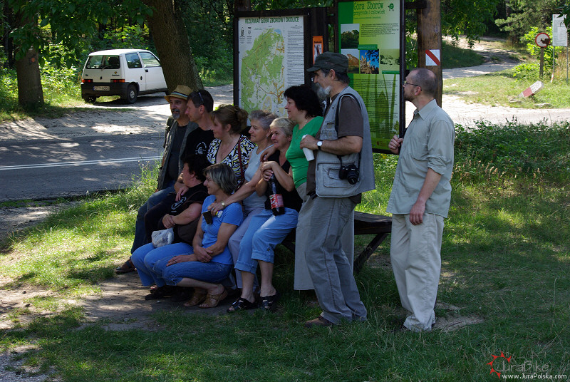 zborow310708_7.jpg