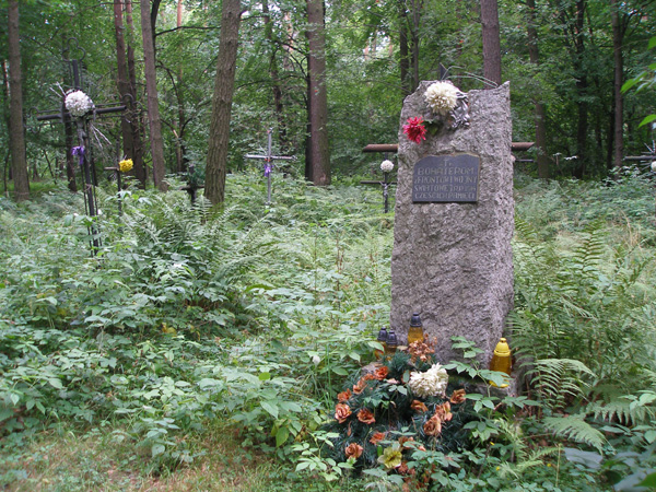 P8170020.JPG