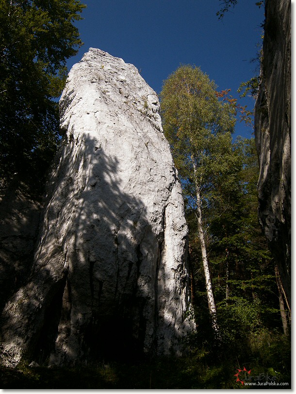 220906_1.jpg