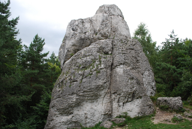 DSC_0277.JPG