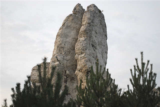 DSC_0355.JPG