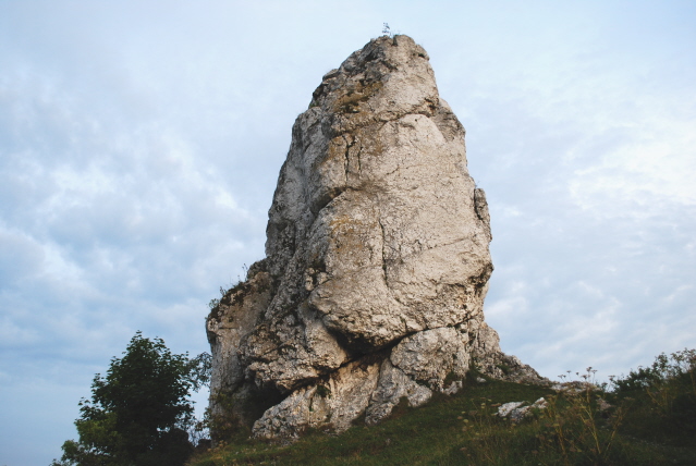 DSC_0376.JPG