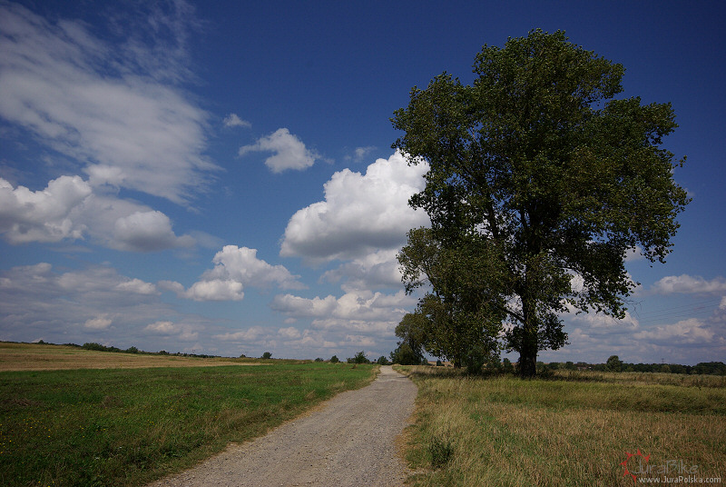 240808-4.jpg