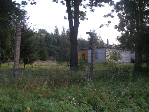 P9030007.JPG