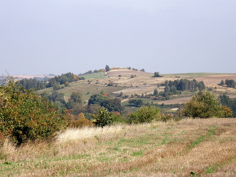 P9280180.jpg
