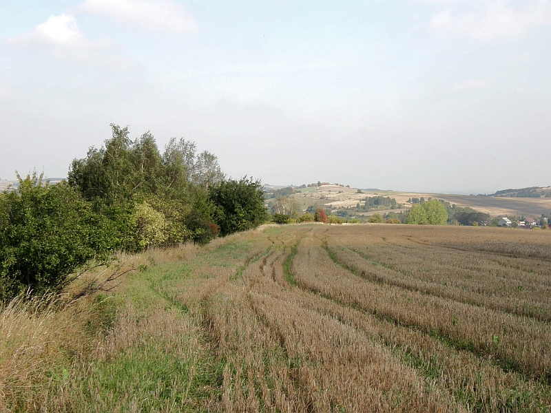P9280173.jpg