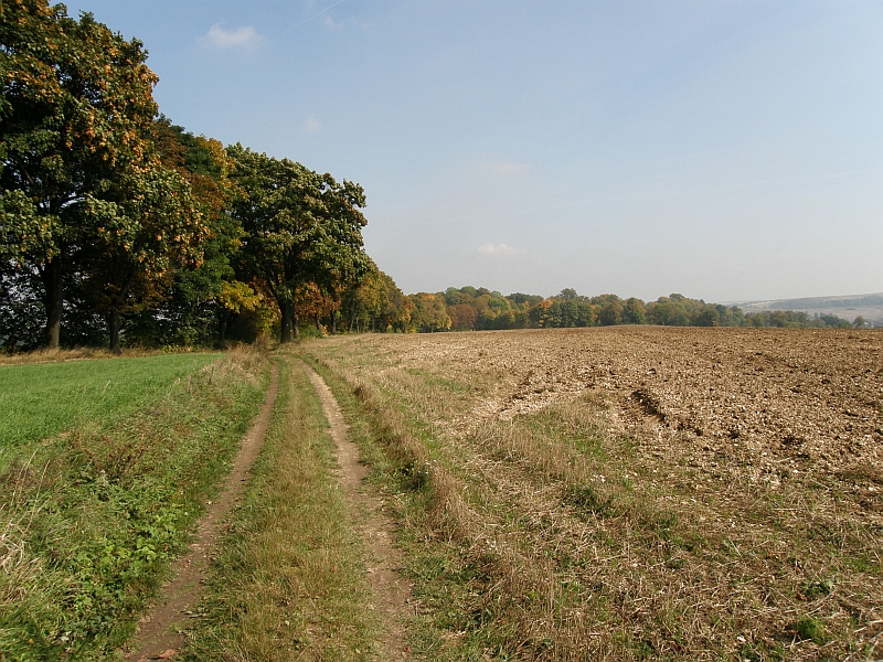 P9280140.JPG