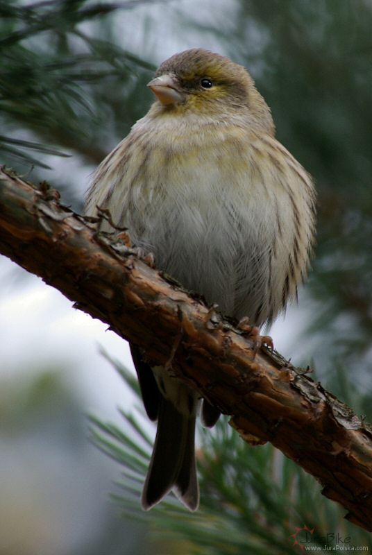 251008_przyroda4.jpg