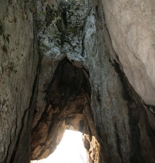 IMG_0049.JPG