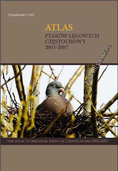 atlasptakow1.jpg