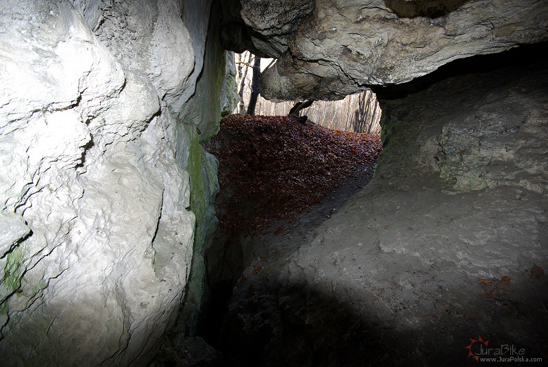 zag_61208_2.jpg